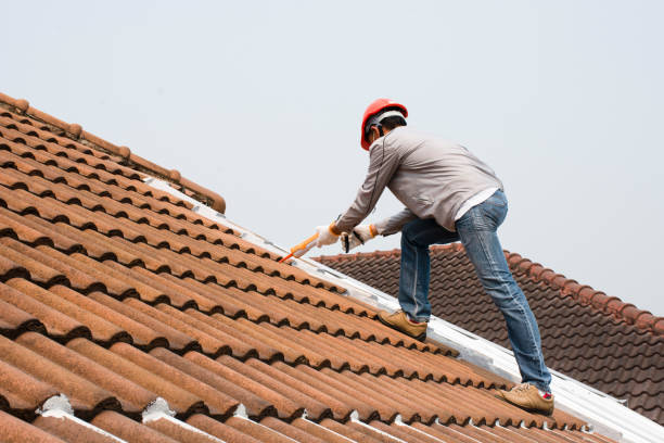 Professional  Roofing repair and installation in Oak Park, CA